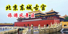 欧美学生妹超级性感美女黑人大吊爆插视频中国北京-东城古宫旅游风景区